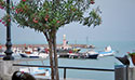Am Hafen von Scario