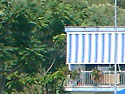 Blick zum Haus